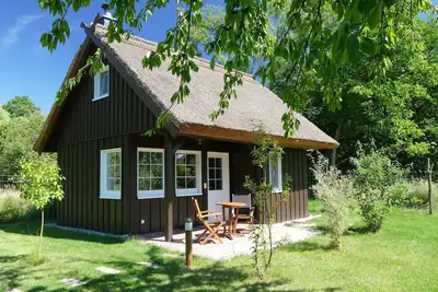 Image de Le rucher: maison au toit de chaume avec cheminée sur un grand plan d'eau à Lehde