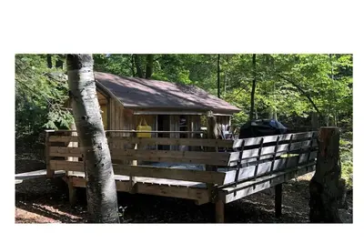 Image de Chimorephage Treehouse Resort - The Mojito