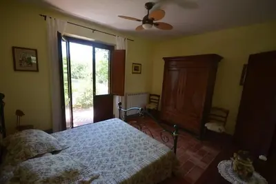 Image de superbe pied Ă terre dans la nature