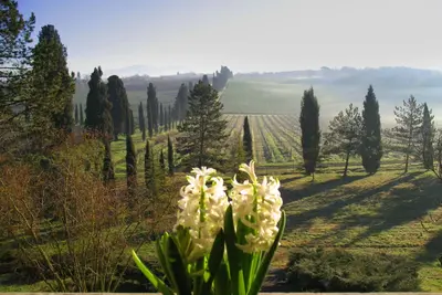 Image de Appartement La Casalta- Girasole - Au coeur vert de la Toscane