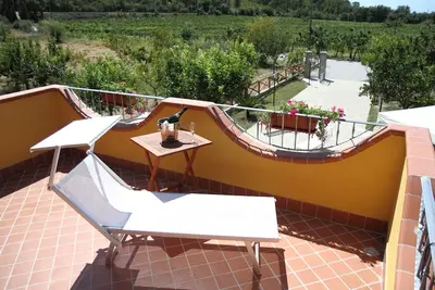 Image de Cave avec hébergement en B&B, dégustation de vin et d'huile extrav