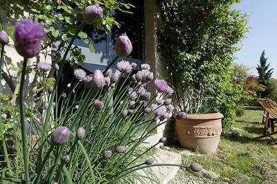 Ferme dans une ferme biologique dans le Chianti, avec piscine - Erta