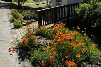 Image de Nouveau! Charmant 1 chambre, 1 salle de bain complète maison près du parc national de Sequoia.