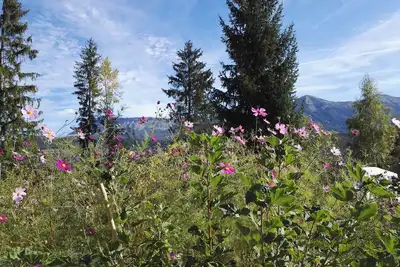 Image de Gîte juqu'à12 personnes en pleine nature