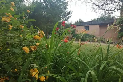Image de Gite de charme entre zoo de la Flèche et château du Lude: Gîte Nid de paille