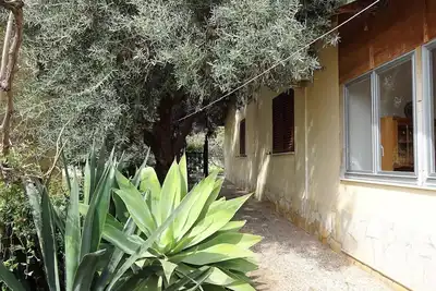 Image de Casetta des Oliviers - maison avec jardin à 5 minutes de la plage