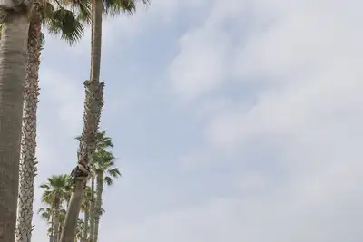 Image de Oceanside California Beach Condo