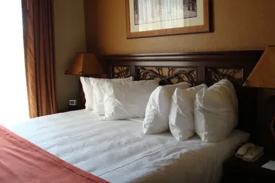 Image de Luxueux condo ski-in ski-out