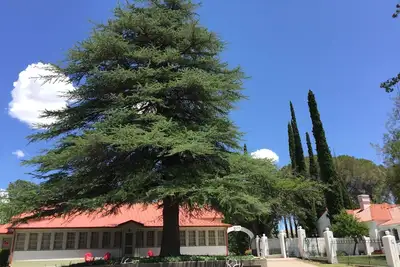 Image de Nan Ranch - Sur la rivière magique Mimbres du Nouveau-Mexique, une retraite historique