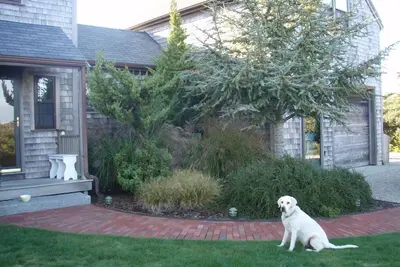 Image de Calme, confortable maison de plage Nantucket - Madduequecham Beach