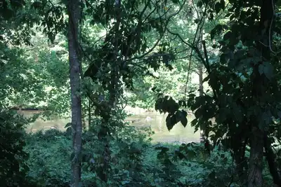 Image de Impressions sur la rivière Tellico 1 chambre