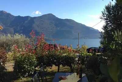 Lac de Côme - Residence La Collina - Mirtillo
