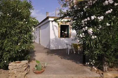 Image de Offre spéciale Maison entourée de verdure