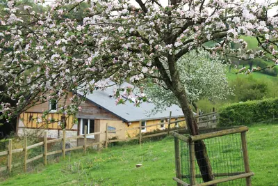 Image de La Bergerie du Martinaa - Gite pour 10 -Parc Animalier - Piscine Chauffée
