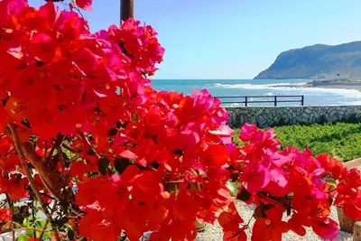 Image de Studio avec vue sur la mer dans un beau jardin!