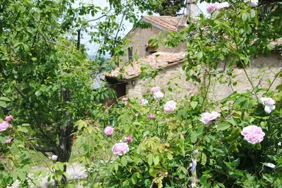 Image de Appréciez la vie toscane authentique dans un cadre extraordinaire