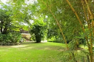 Image de Bel appartement végétarien respectueux de l'environnement