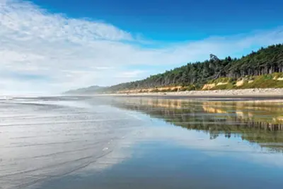 Image de Promenez-vous sur la magnifique plage!