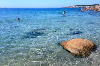 Image de Maison d'architecte à la plage, 10 vélos, moutons, poules, jeux, paddles