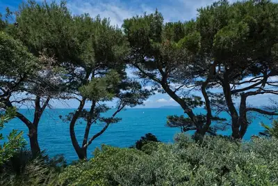 Image de Attico, Punta Nera, Monte Argentario, Grosseto and Maremma