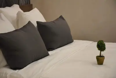 Image de Confortable, propre, charmant, nouvel appartement dans le centre-ville de Belgrade