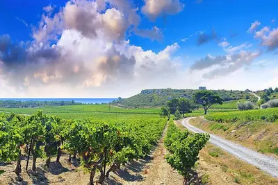 Image de Les Vendanges by Interhome