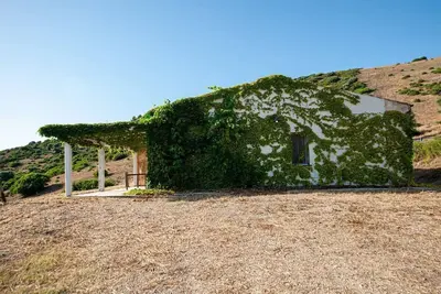 Image de Vignoble Tenuta Asinara Home