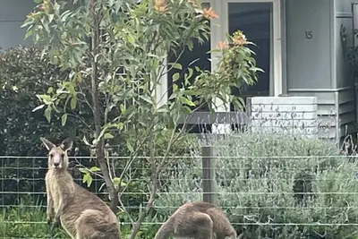 Image de South Durras Beach Cottage