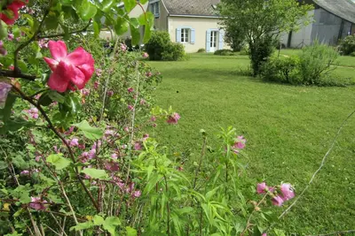 Image de Gîte familial avec grand jardin, près des Châteaux de la Loire et activités nautiques