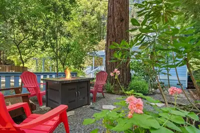 Image de Cerise bleue! Près de la ville / rivière!