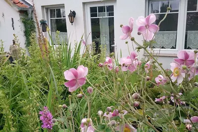 Image de appartement confortable avec utilisation de jardin