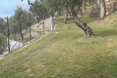 Image de Agricampeggio Agri-camping Relax