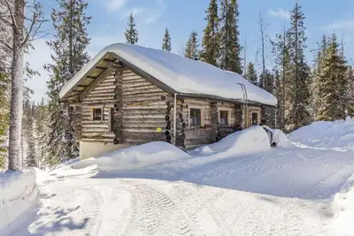 Image de Muuttohaukka by Interhome