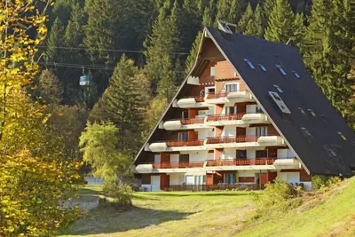 Image de Anémone 2\/16 by Interhome