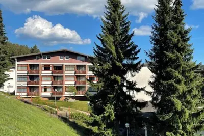 Image de App. 1406 / Ex-Kurhotel Schluchsee by Interhome