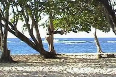 Image de Location appartement à 50 m de la plage, route de l'Autre-Bord Moule Guadeloupe