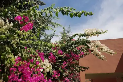 Image de Quatre chambres à louer dans une villa au calme