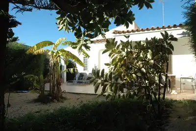 Image de Villa rénovée avec superbe jardin méditerranéen