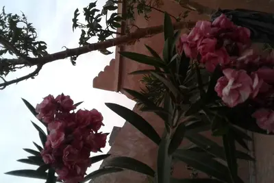 Image de Beautiful authentic riad a mhamid elghizlan