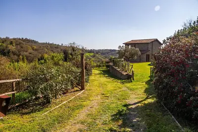 Votre maison avec vue à Scansano, Toscane
