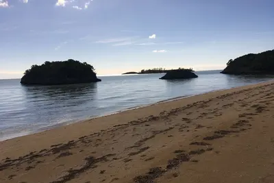 Image de Nouvelle Liste Tarifs SPÉCIAUX Charme 2 Bdrm 2 Bth Cottage Pink Sand Beach 100 \/ Jour