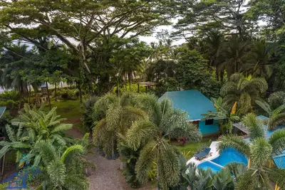 Image de Beachfront Villa Starfish with Ac & Pool