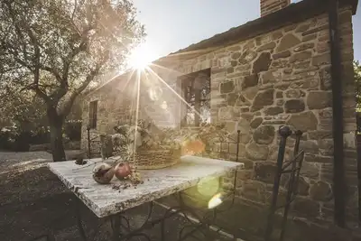 Image de Rosmarino - Zampugna Estate