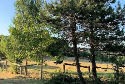 Image de Un havre de paix et de calme au coeur de la campagne tarnaise.