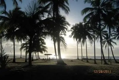 Image de Paraiso à Bahia - maison en bord de mer au milieu de cocotiers