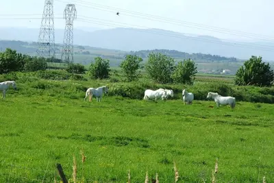 Image de maison de campagne 9 personnes avec petit spa