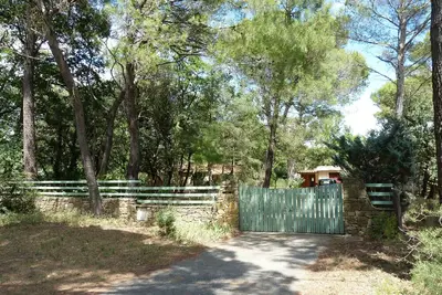 Image de Votre maison dans les pins et les chĂŞnes verts( massif d'Uchaux).