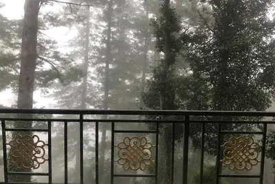Image de Deodar, une retraite de luxe à Mashobra, Shimla, avec vue
