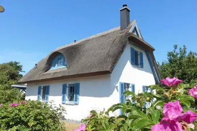 Image de Grue de chaumière