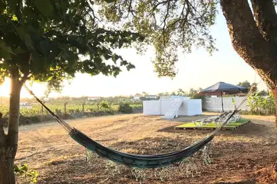 Saint Kitts Farmhouse Setúbal